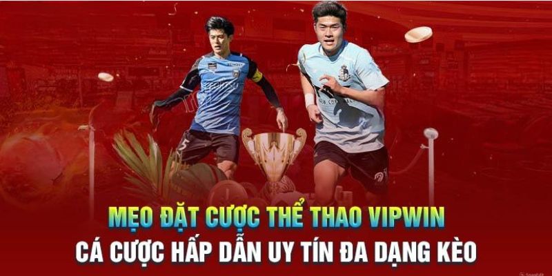 Hé lộ chiến lược chơi thể thao Vipwin chuẩn xác nhất