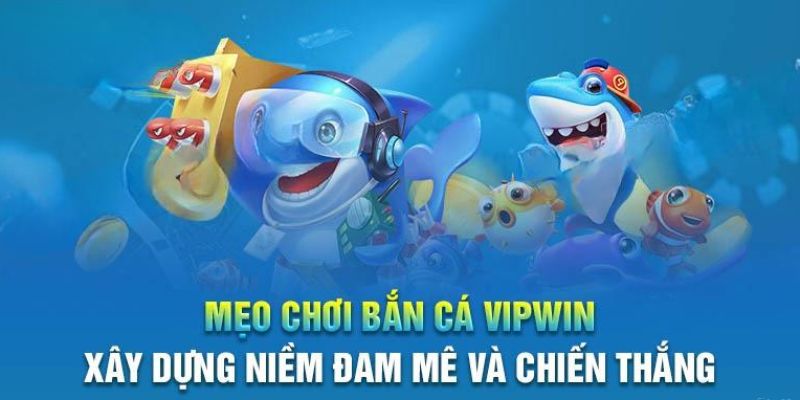 Học hỏi những bí quyết hay từ chuyên gia